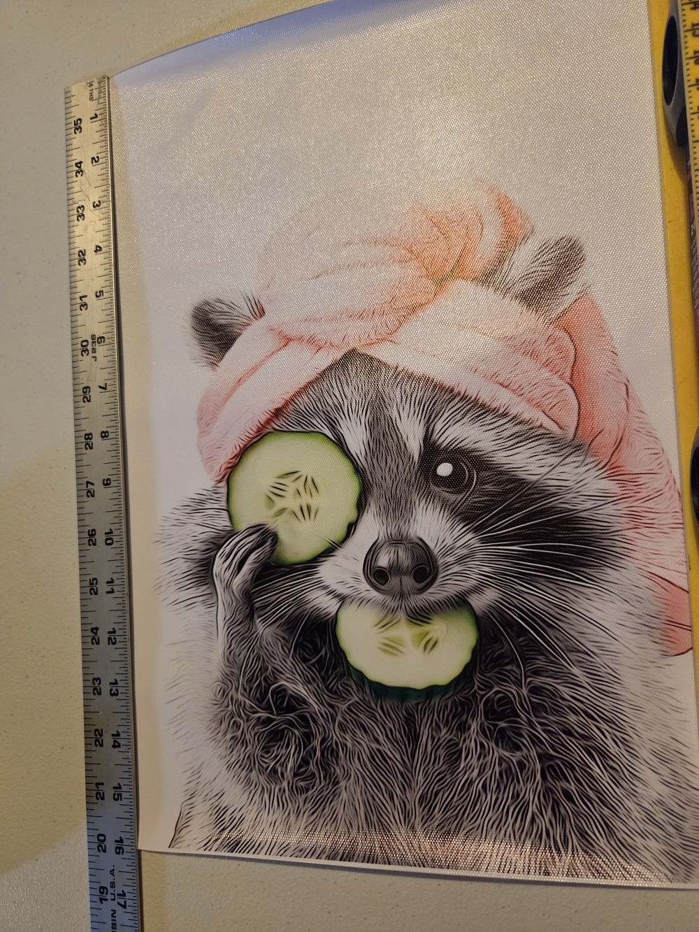 Set Of 3- Raccoon Bathroom Wall Art Print On Canvas, Pink Detail - Picture 5 of 11
